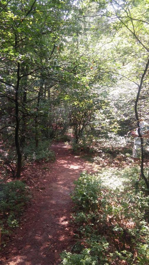 Poort Van De Veluwe フォールトハイゼン エクステリア 写真