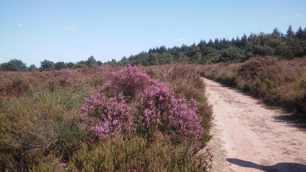 Poort Van De Veluwe フォールトハイゼン エクステリア 写真