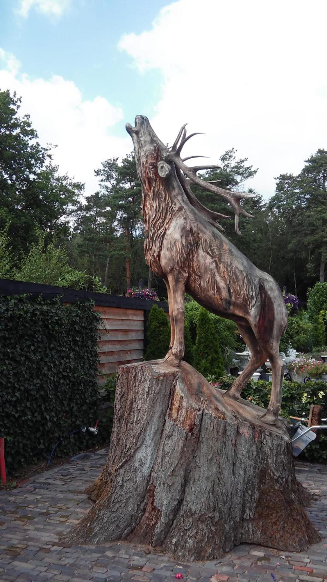 Poort Van De Veluwe フォールトハイゼン エクステリア 写真