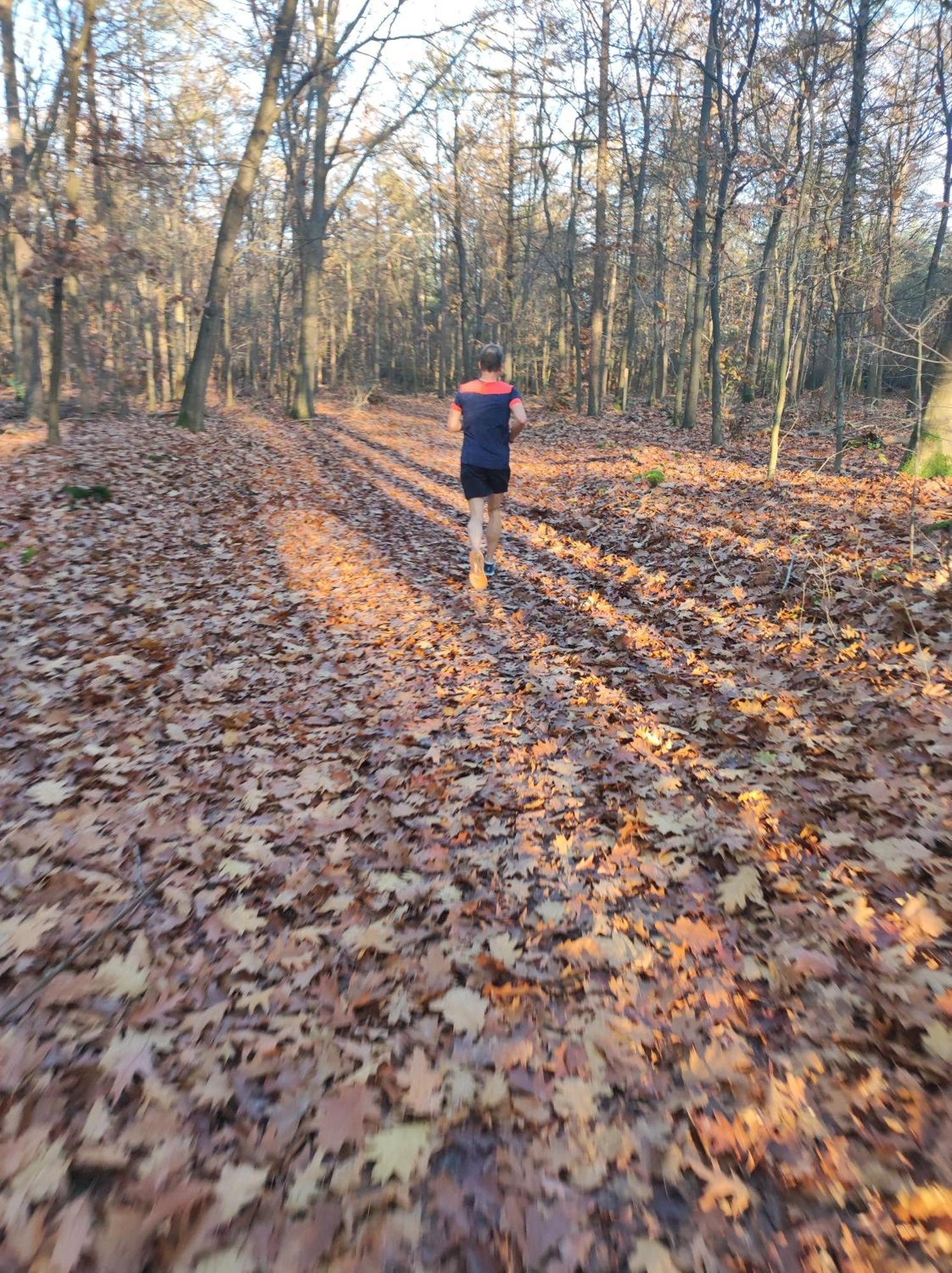 Poort Van De Veluwe フォールトハイゼン エクステリア 写真